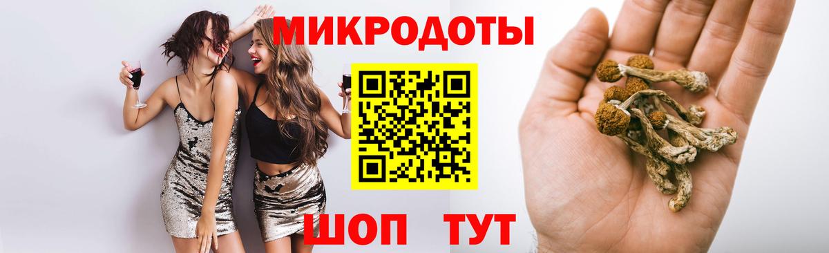 Галлюциногенные грибы Psilocybe Тында